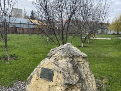 «Зеленая весна»