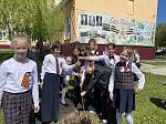 Сад Победы
