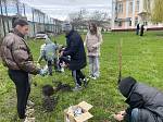 Проект «Зелёная Пенза»